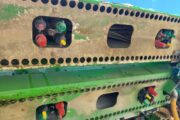 Dammann ANPA 8036 Profi Class