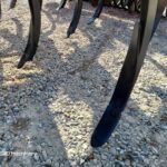 Horsch TERRANO 4 FX STARR