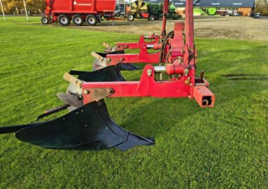 ScanStone 3 Frettchen